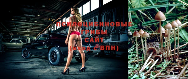 Альфа ПВП Бронницы